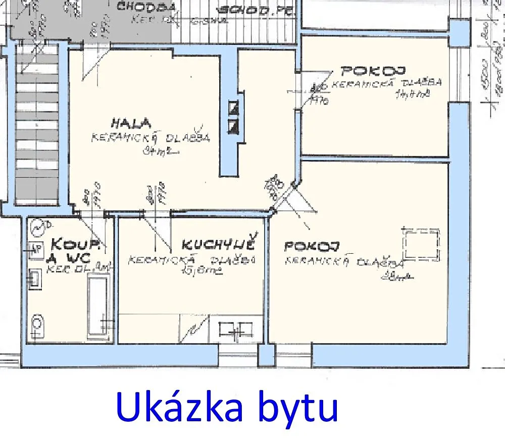 Fotka 4 z 13